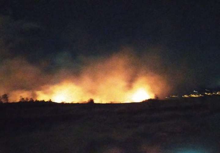 Evalúan daños causados por incendio de masa vegetal en Tierras Altas