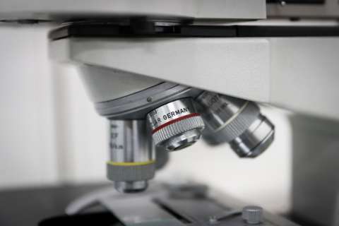 Vista de un microscopio en un laboratorio. EFE