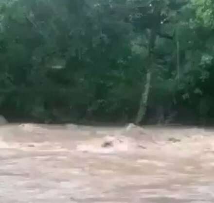 En el área cae una intensa lluvia.