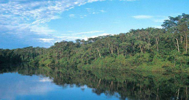 Reserva natural Pacaya Samiria en la Amazonía peruana.