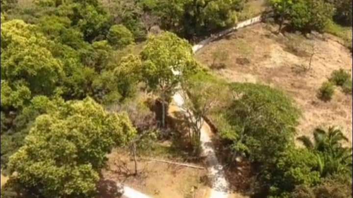 El cadáver descompuesto fue encontrado a varios metros del campamento, en un área boscosa. 