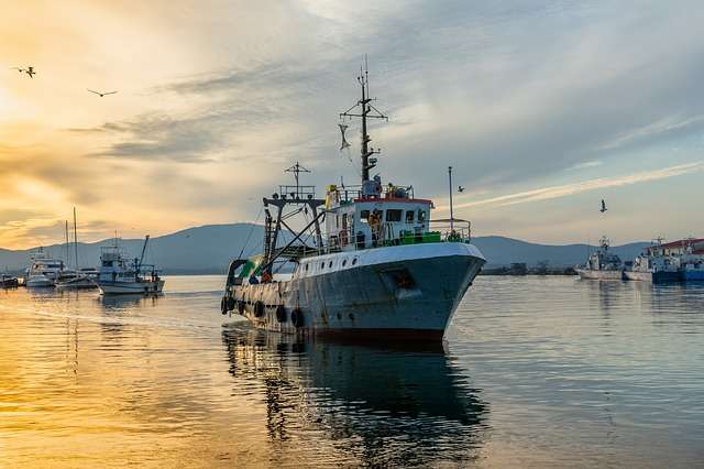 La norma del 20202 reguló la Licencia de Pesca de Doncella y Pajarita en aguas jurisdiccionales. Foto: Ilustrativa - Pixabay