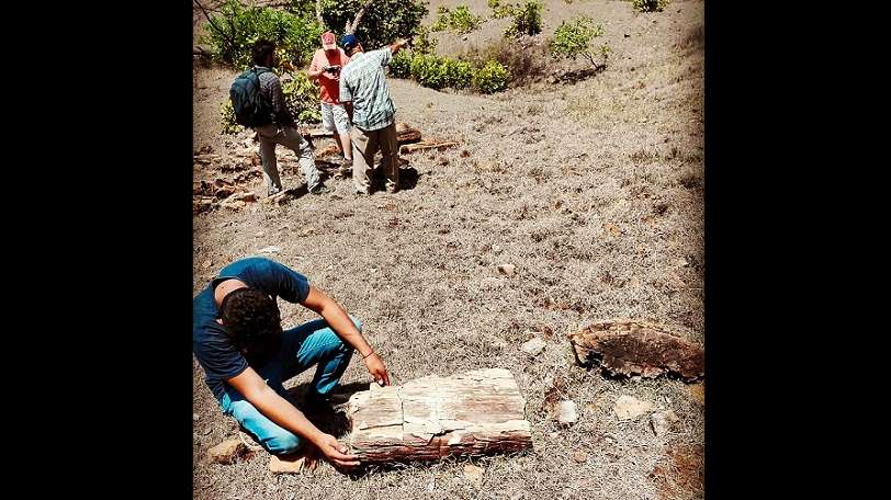 Los restos fósiles se encontraron en el área de Los Boquerones, en la provincia central de Veraguas. Foto: Stri