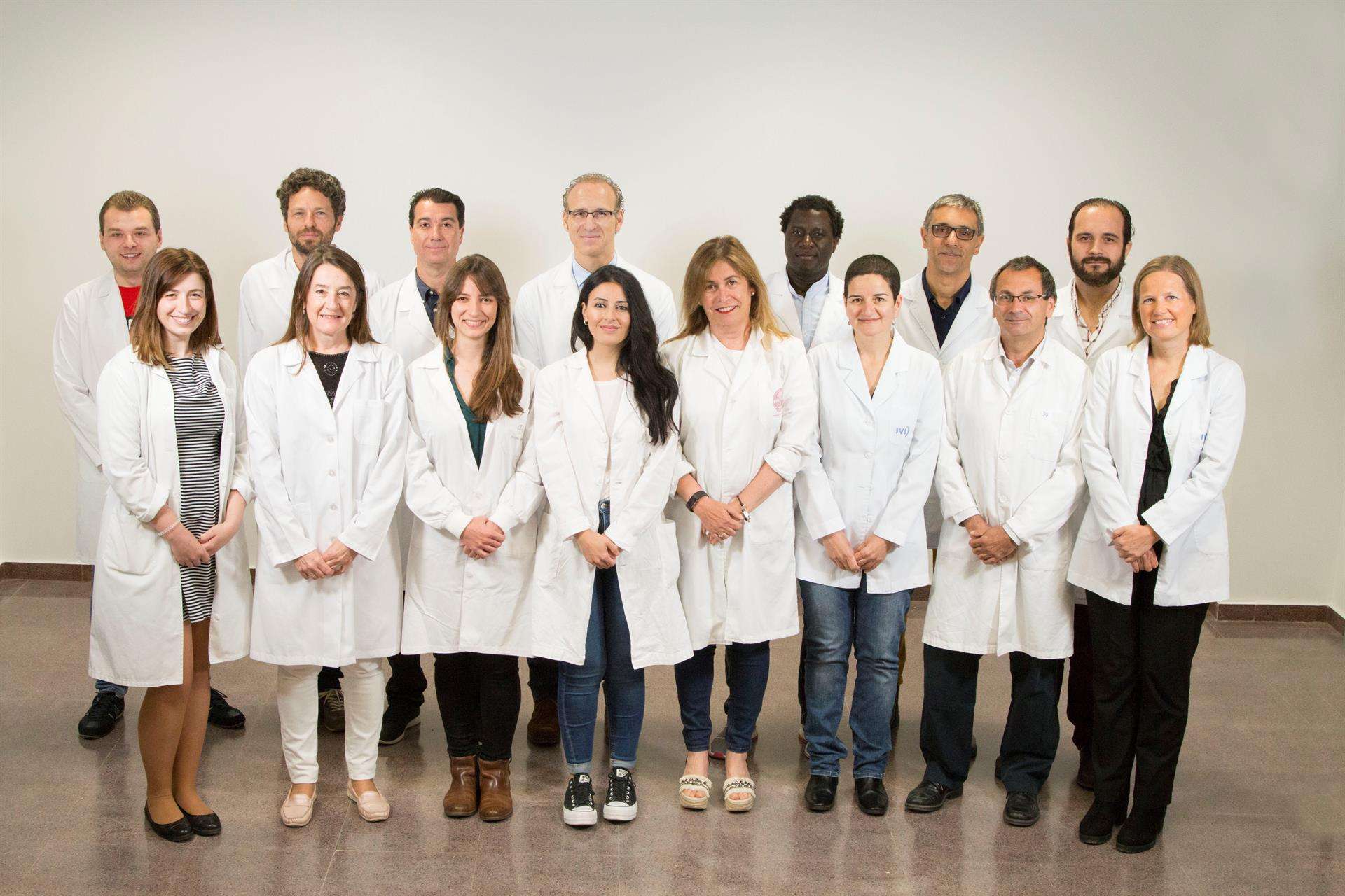 Imagen cedida de los investigadores de la Universidad de Murcia (UMU), del Instituto Valenciano de Infertilidad (IVI) y del Instituto Murciano de Investigación Biosanitaria (IMIB). 