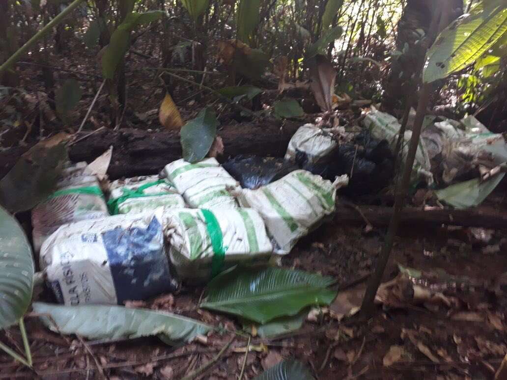 Se espera que en las próximas horas se informe la cantidad de droga que contienen los bultos ubicados en una zona boscosa colonense. Foto: @minsegpanama 
