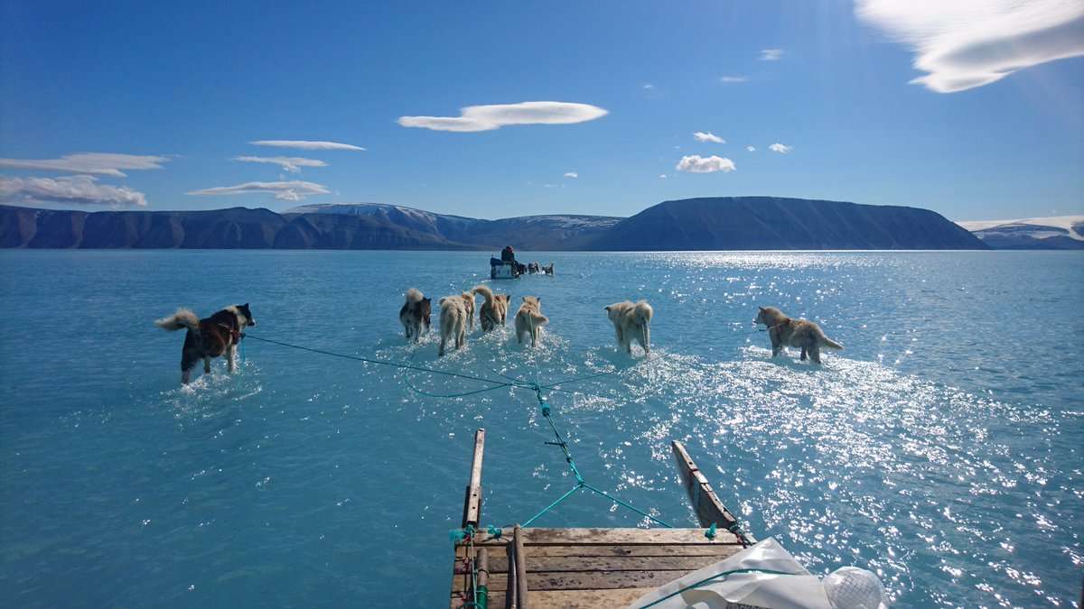 @SteffenMalskaer tuvo la difícil tarea de recuperar los amarres oceanográficos y estación meteorológica sobre hielo marino en Groenlandia del Oeste este año. 