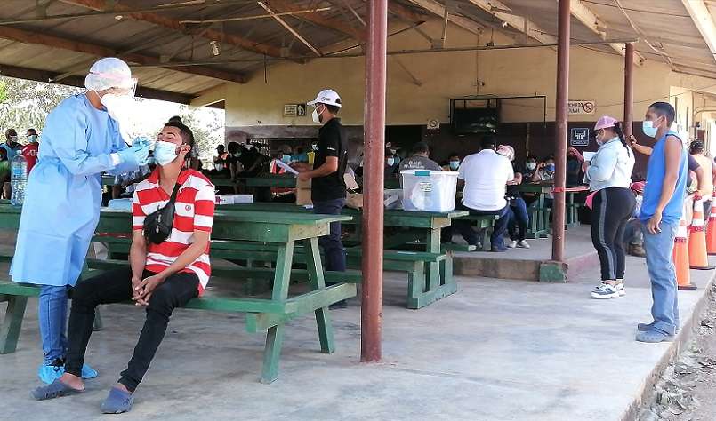 Este fin de semana, un grupo de 178 trabajadores llegaron hasta el distrito de Santa Maria, en la provincia de Herrera.