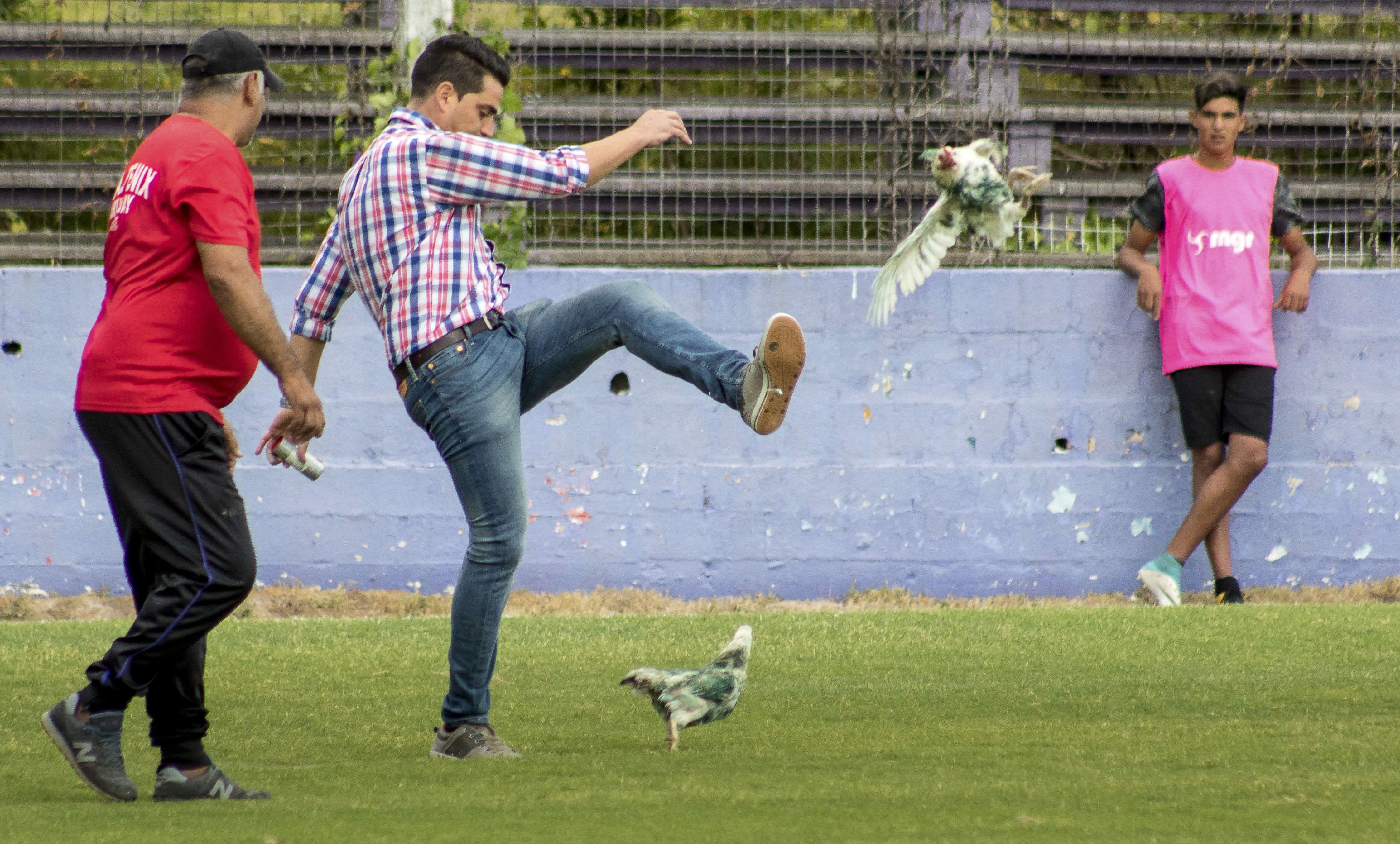 Momento en que Gaston Alegari patea una gallina que fue lanzada a la cancha. Foto: AP