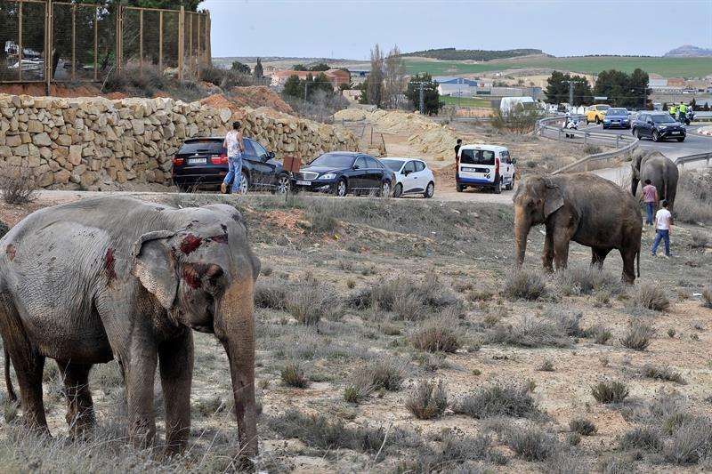 Imágenes de la escena del accidente de tránsito. Foto/EFE