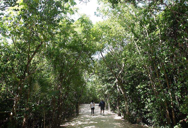 Fotografía del 26 de julio de 2018, que muestra una vista general del área protegida del parque Kabah, en el balneario de Cancún, en Quintana Roo (México). EFE