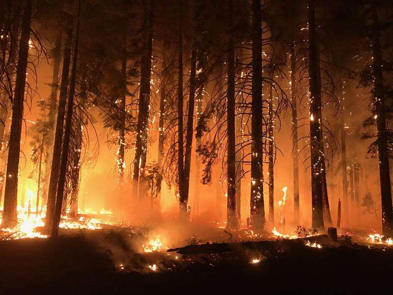 Un grupo de bomberos mientras combaten las llamas en el incendio de Camp Fire, California. EFE/ Usfs/nwcg