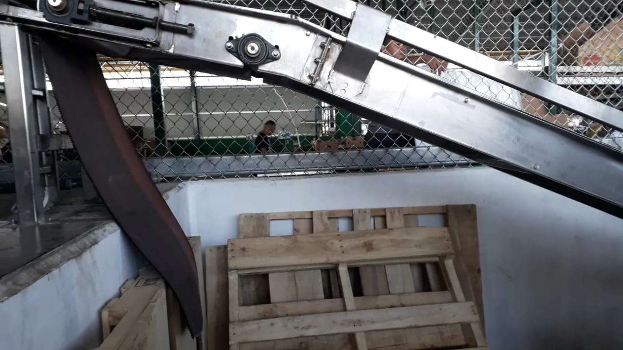 Vista general de la máquina en la que quedó atrapado el menor en  la empresa Banapiña. Foto: José Vásquez