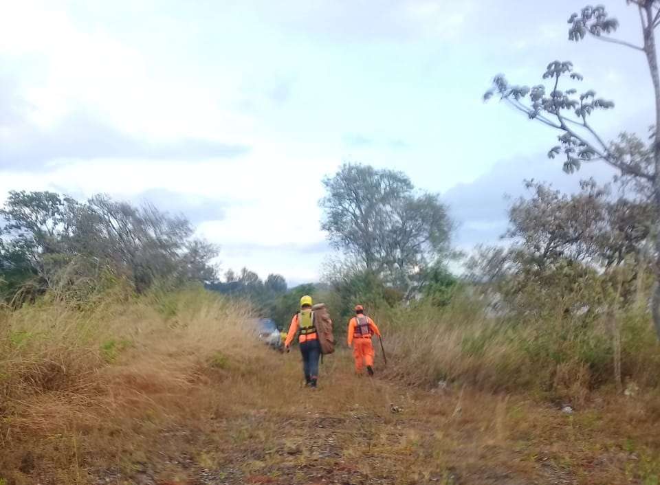 La búsqueda también se realiza en el área verde próximo a las aguas del río Caldera. Foto: José Vásquez