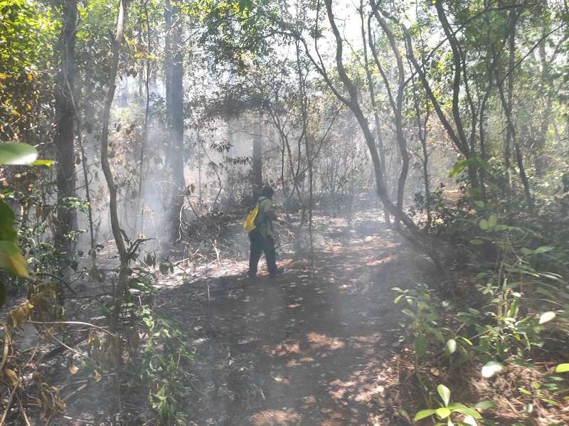 Incendio de masa vegetal en la Reserva Forestal Alto Guarumo, en Veraguas.