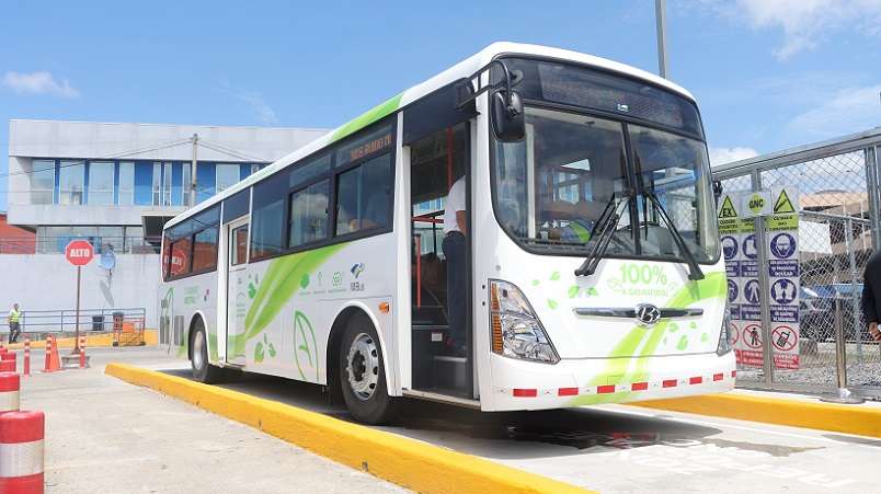 Las nuevas unidades brindarán el servicio de transporte público en diferentes rutas del sistema de MiBus.