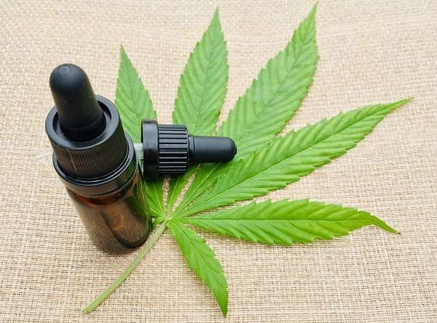 La ley solo permite otorgar 7 licencias para  fabricación de derivados del cannabis para uso medicinal y terapéutico. Imagen: Pixabay