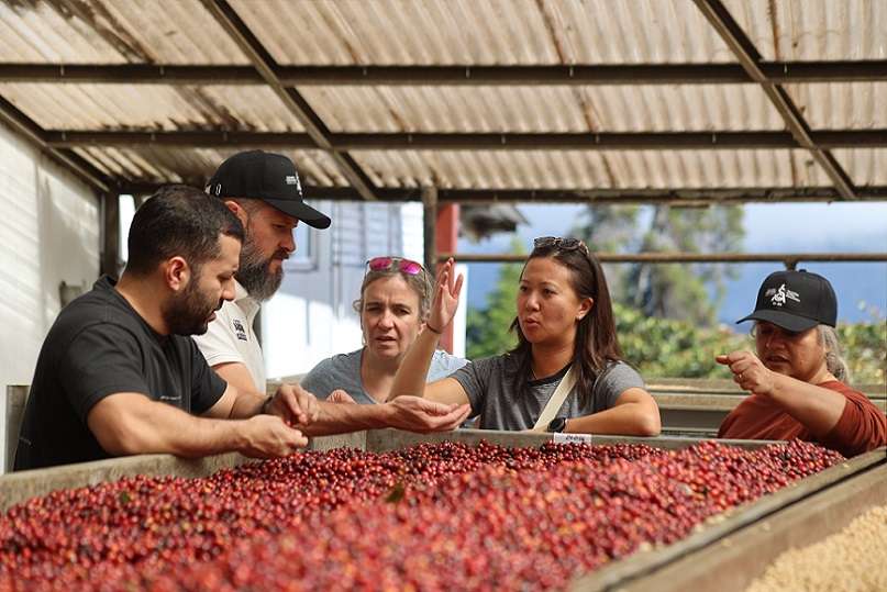 Los expertos internacionales pudieron conocer importantes avances de la industria del café de especialidad de Panamá. Foto: SCA