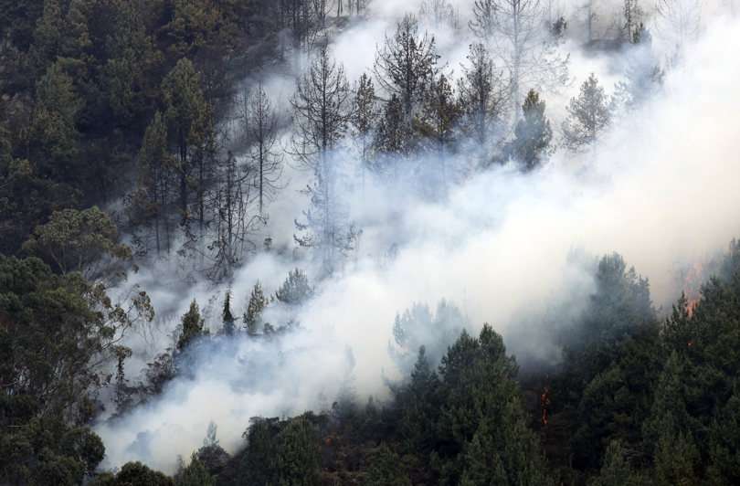 Bogotá se vuelca en los esfuerzos para apagar los incendios que devoran sus cerros. EFE
