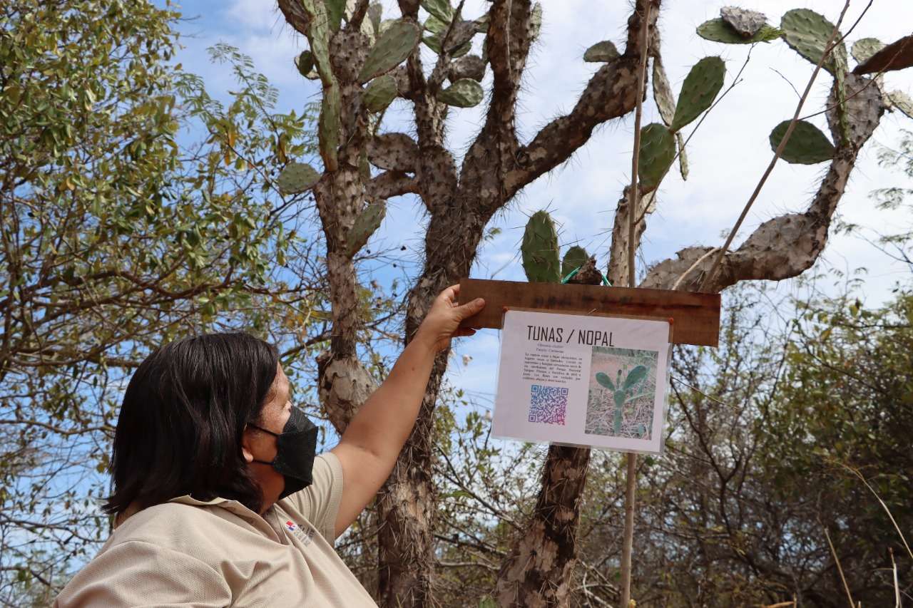 Ubicado en el distrito de Parita, en la provincia de Herrera, Sarigua busca convertirse además de un área protegida y sitio turístico, en un referente en cuanto a educación ambiental. 