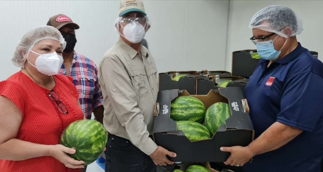  Las autoridades agropecuarias evaluaron la producción de la fruta