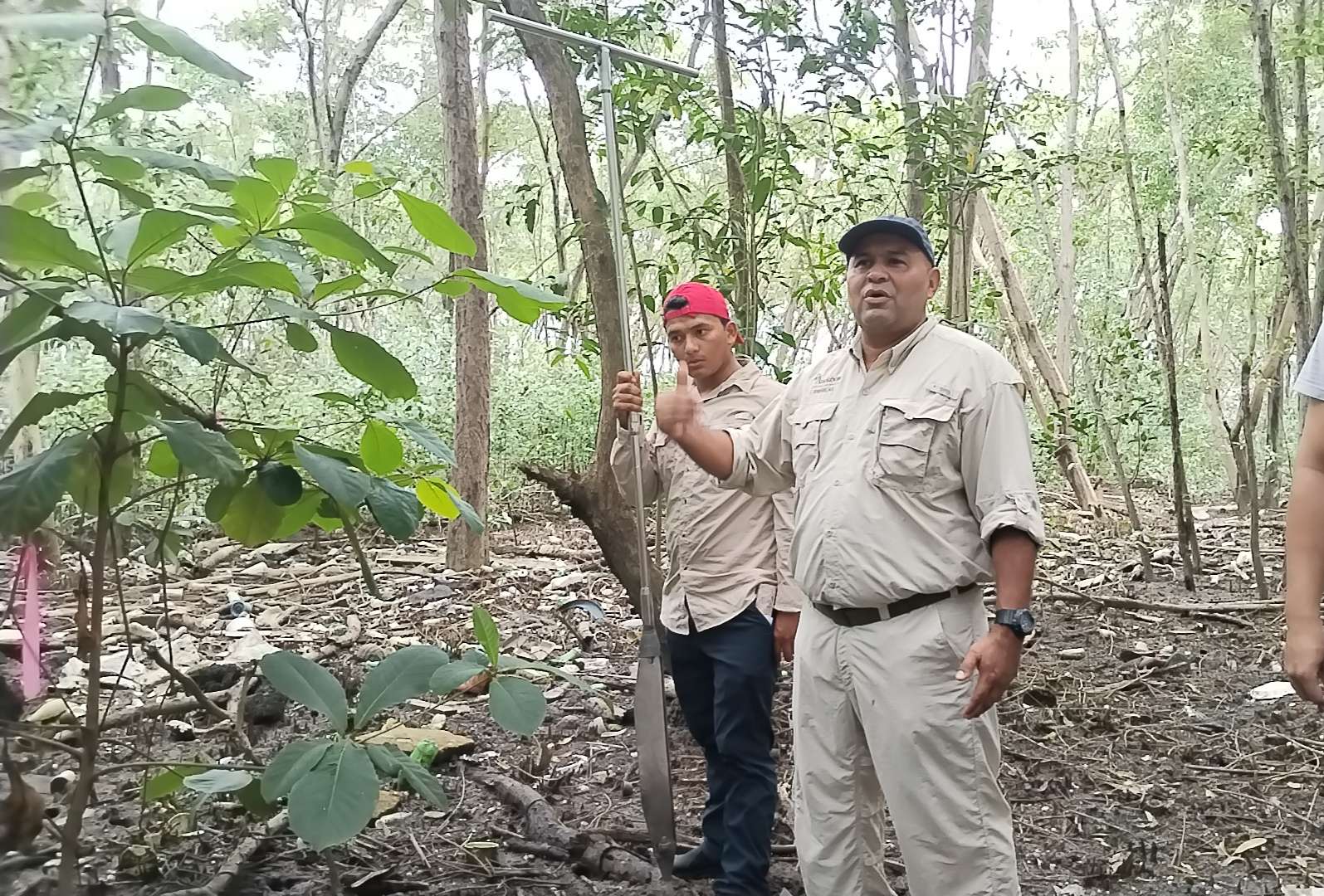 Técnicos e ingenieros explican sobre el muestreo en los manglares. 
