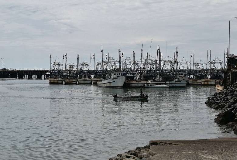 El país cuenta con más de 7 mil barcos y 243 embarcaciones con bandera panameña en aguas internacionales con licencia de pesca.