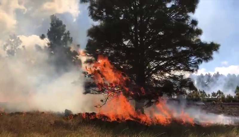 Diferentes estamentos brindaron apoyo para evitar que el fuego se propagara a otros puntos del sector.