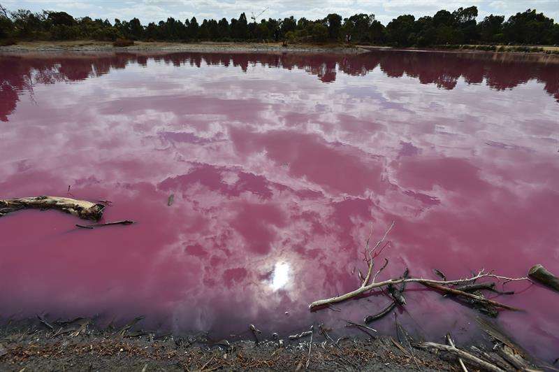 El lago rosa del parque de Westgate, este martes, en Melbourne (Australia). EFE