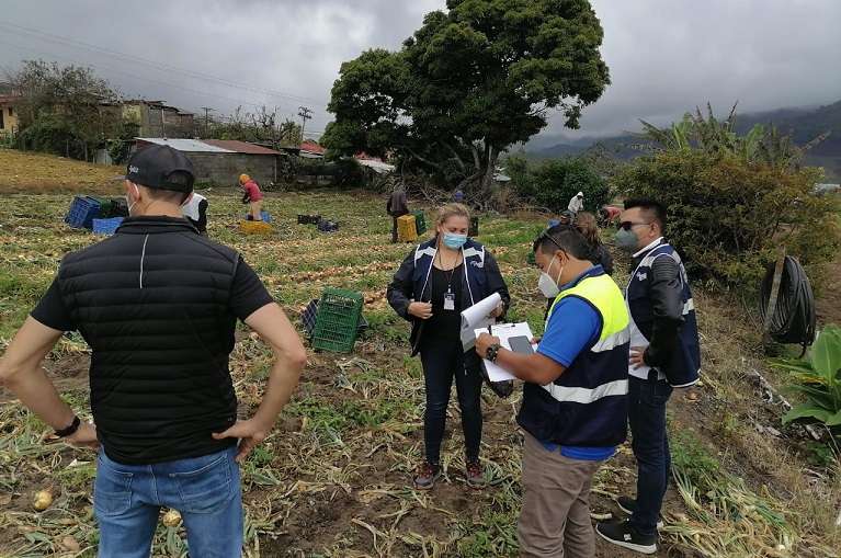 Los operativos se realizaron en zonas de producción agrícola del distrito de Tierras Altas, provincia de Chiriquí