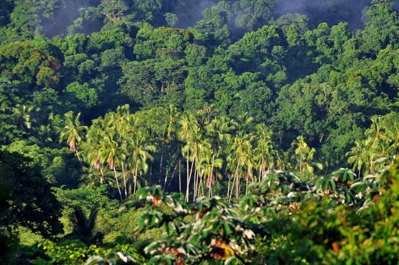 Vista de un sector del Parque Nacional Coiba, un conjunto de islas de origen volcánico ubicadas en el Pacífico panameño. EFE
