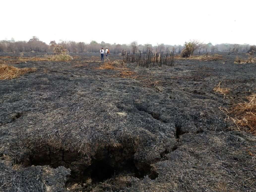 Vistas de un área deforestada y quemada en Filo Del Tallo, Darién del año 2016. Foto: MiAmbiente