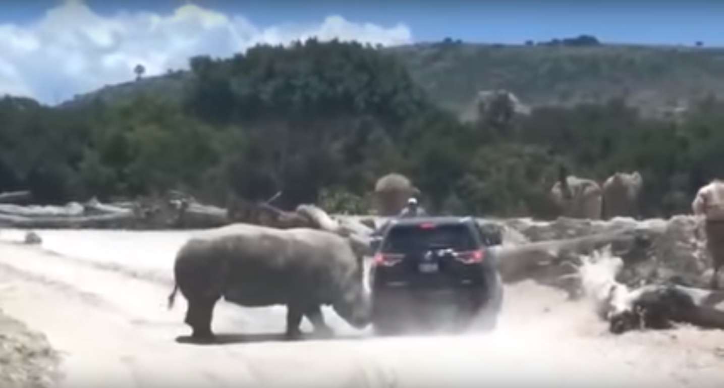 Captura de video. LO MAS CALIENTE DE LOS FAMOSOS