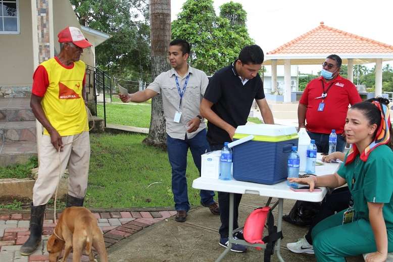 Además de la vacunación de animales en las fincas, a través del Ministerio de Salud, se adelanta la vacunación de perros y gatos, en las comunidades del distrito de Parita.